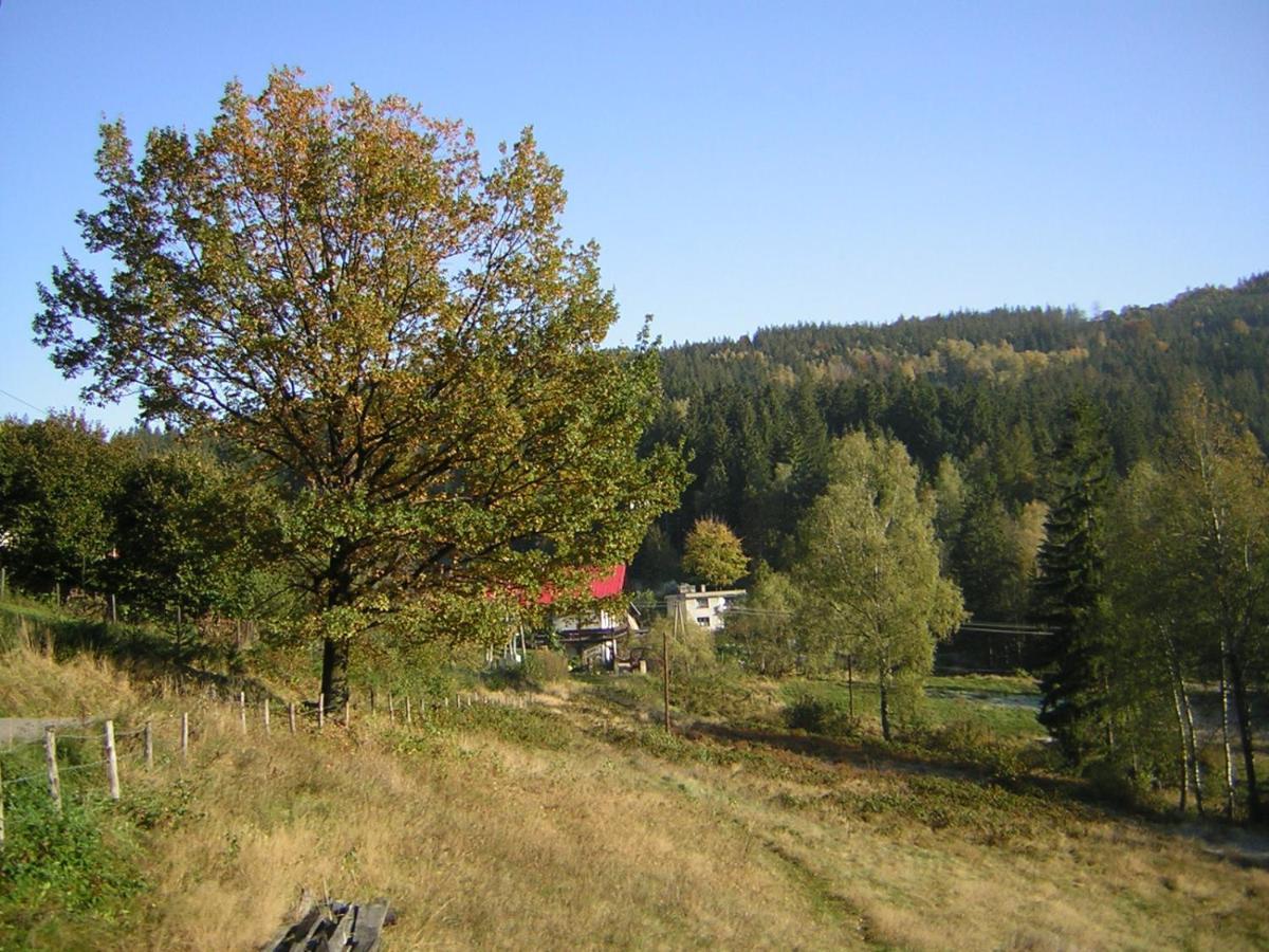 Pokoje Goscinne Angelika Visla Exteriér fotografie